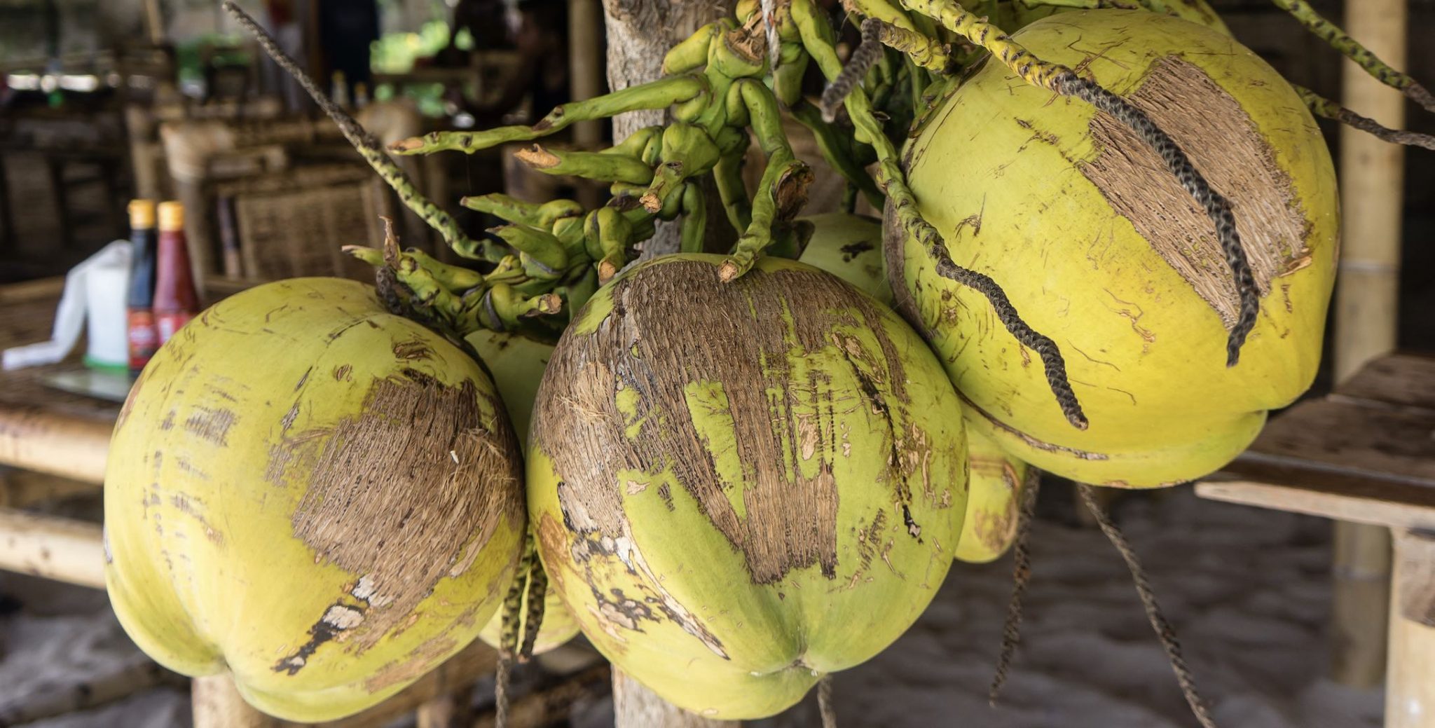 Avez essaye 04 image