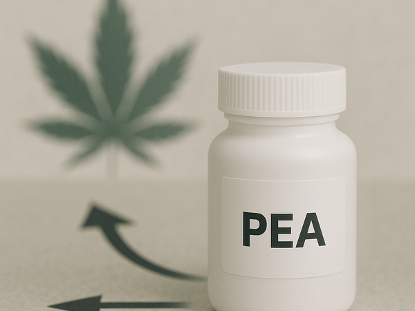 Douleur : le cannabis ringardisé
